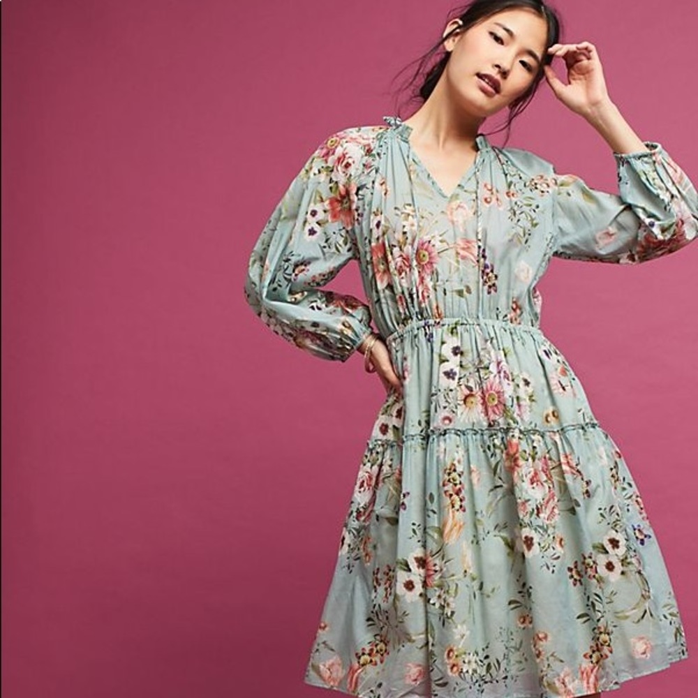 Anthropologie Erin + Ari Tupelo Floral Dress XS